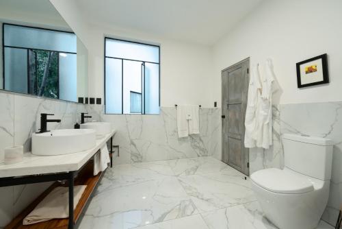 Orchid House Polanco Orchid House Polanco