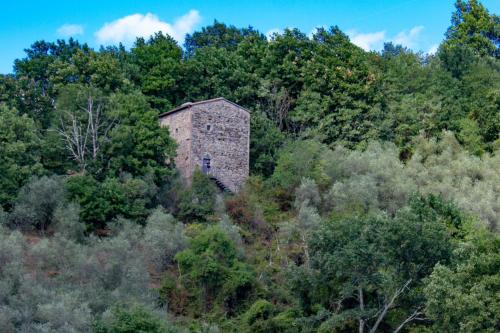  La Torre nel Bosco in Filattiera