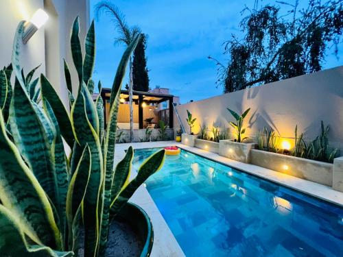 SABOR VILLA TARGA GARDEN -Only Family