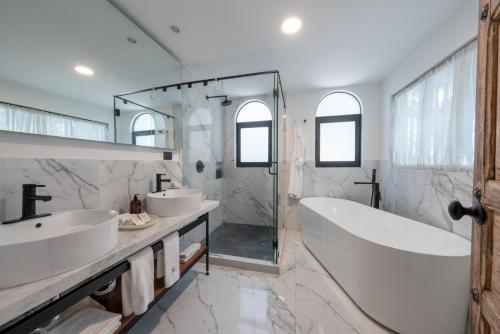 Orchid House Polanco Orchid House Polanco