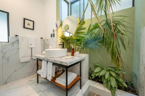 Orchid House Polanco Orchid House Polanco