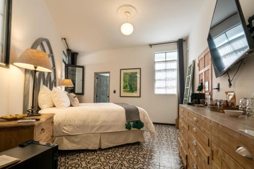 Orchid House Polanco Orchid House Polanco