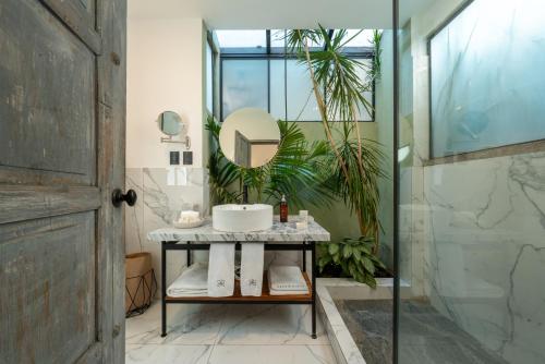 Orchid House Polanco Orchid House Polanco