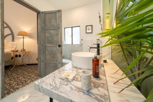 Orchid House Polanco Orchid House Polanco