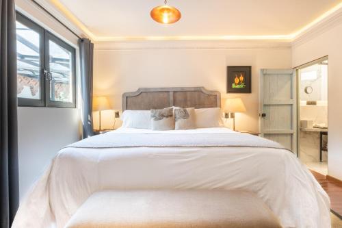 Orchid House Polanco Orchid House Polanco