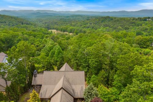 Endless Views, Mineral Bluff (foto 3)