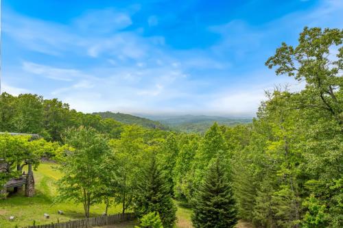 Endless Views, Mineral Bluff (foto 5)
