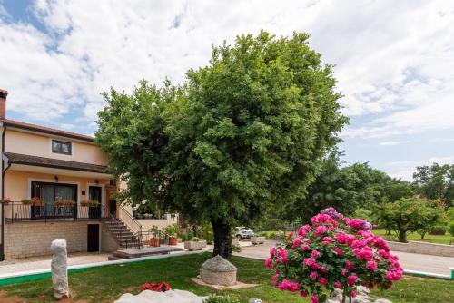 Apartment Luma, Vižinada (zdjęcie 7)