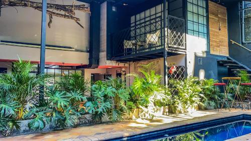 ทัศนียภาพภายนอกโรงแรม, Fardo Hotel Boutique en Ibague - Zona G - Recepción Digital 24H (Fardo Hotel Boutique en Ibague - Zona G - Recepcion Digital 24H) in อิบากิว