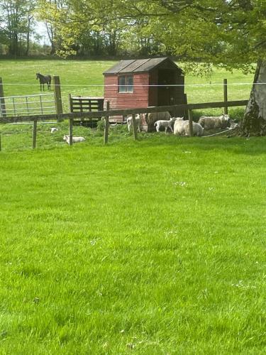 Corehouse Farm Cottages - Dairy, Granary & Sawmill