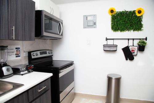 private apartmento airport 7 minutes y de la playa in Carolina