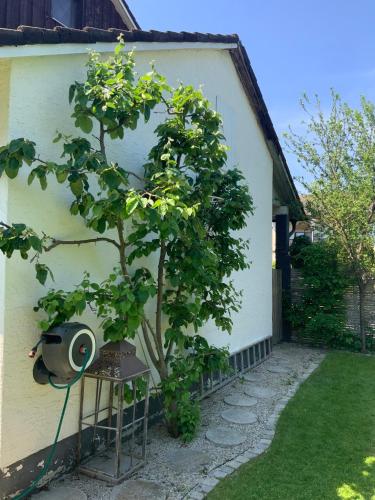 Garden, Ferien- Haus mit privatem Garten nahe Waging - Altotting - Salzburg in Fridolfing