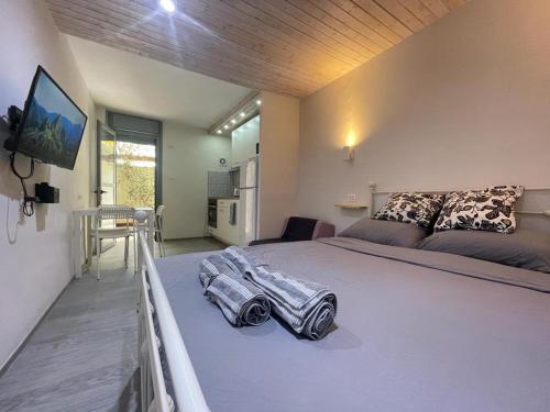 PassionFruit Arad in Arad