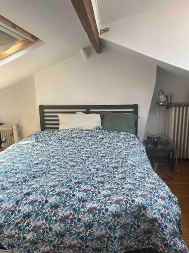 Full equiped house with garden, Parigi (foto 9)