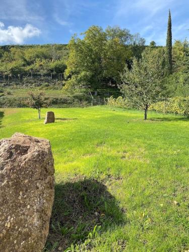 Maison de charme en Alsace - IN VINO VERITAS - 12 personnes