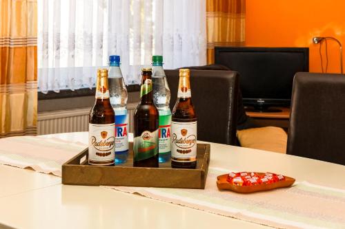 Ferienwohnung am Sachsenring in Hohenstein-Ernstthal