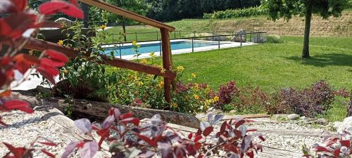 Swimming pool, Le Vigne di Adamo in Volta Mantovana