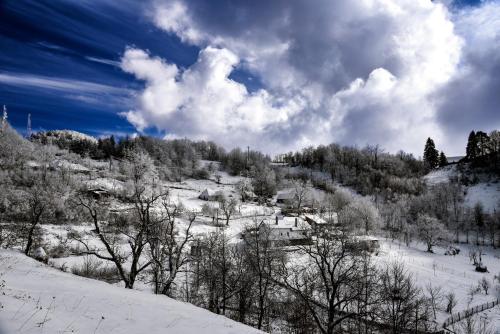 阿纳斯塔西娅旅馆 阿纳斯塔西娅旅馆