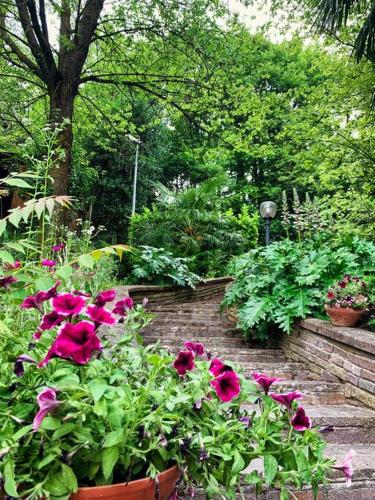  Azienda Agricola Cesca Daniele in Moncalvo