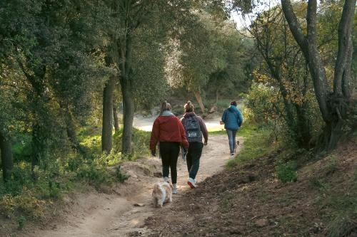 Casa Magnolia Casa Magnolia