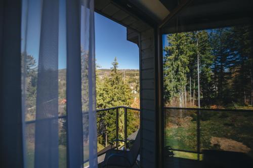 Czarny Kamień Resort & SPA, Szklarska Poręba (photo 9)