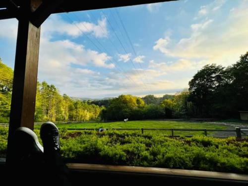 สภาพแวดล้อมโดยรอบ, Ironbridge Lodge in โคลบรูกเดล