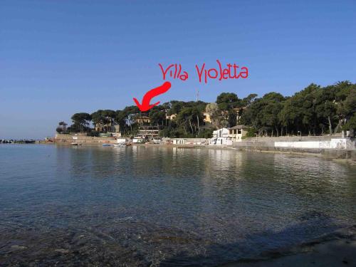  Villa Violetta, Pension in Castiglioncello