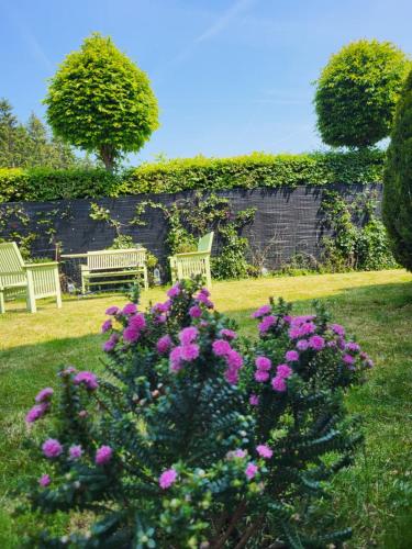  Die Alte Schule app in Alfersteg