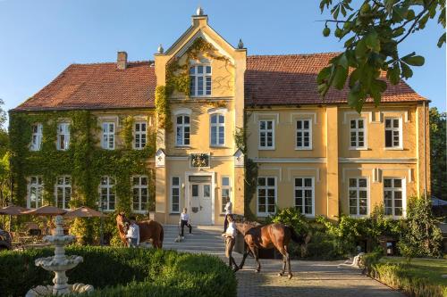 Neu möbliertes 1 - Zimmerapartment mitten in der Natur (Neu mobliertes 1 - Zimmerapartment mitten in der Natur) in Neu Gaarz
