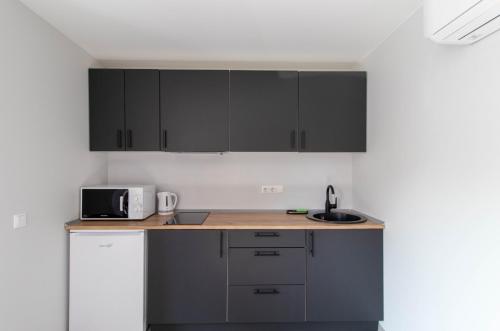 迪巨吉亞酒店 (Dzukija Hotel) in 阿利圖斯