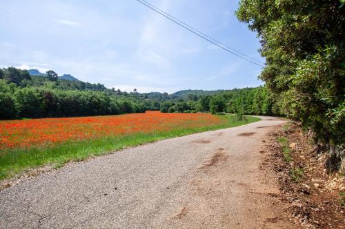 Les collins du sud 2