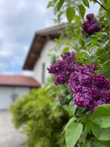 Architektenhaus mit Bergblick 220qm+Terasse/Garten