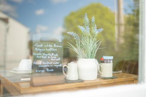 Sleepy Puffin Guest House - image 6