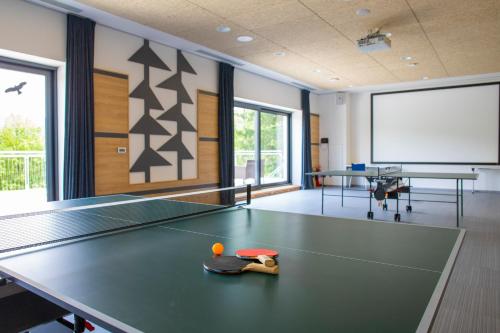 Amenity Hotel & Resort Orlické hory - image 3