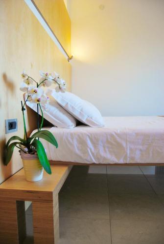 Aparthotel Albatros - image 13