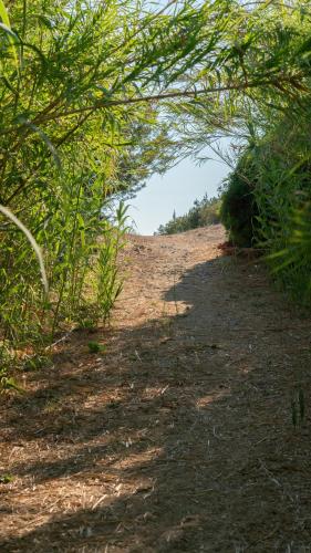 ชายหาด, Goldener Strand in ซาคาโร (อิเลีย)