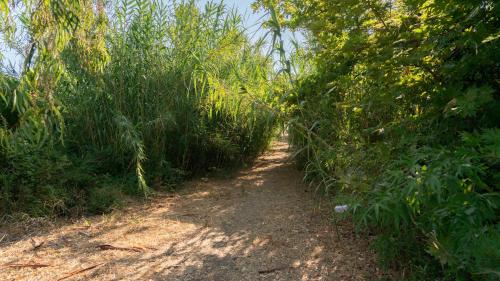 ชายหาด, Goldener Strand in ซาคาโร (อิเลีย)