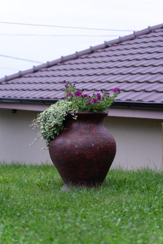 JEDRO - Apartman sa garažnim parkingom, Vrnjačka Banja (Foto 4)