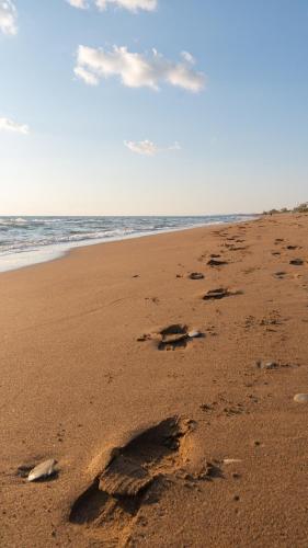 ชายหาด, Goldener Strand 2 in ซาคาโร (อิเลีย)