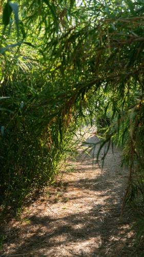 ชายหาด, Goldener Strand 2 in ซาคาโร (อิเลีย)