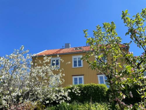 Tomannsbolig på Rosenborg – khách sạn tại Trung tâm thành phố Trondheim