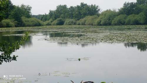 Maison de ferme au calme jusqu'à 10 personnes (Maison de ferme au calme jusqu'a 10 personnes) in Gannay Sur Loire