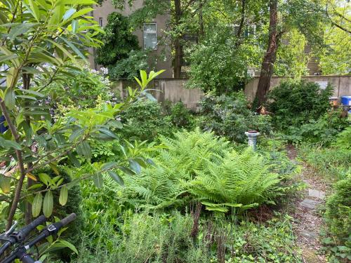 Zentral gelegen - stilvolles Appartment in Moabit, Berlin (photo 9)