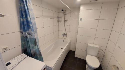 Loft styled apartment near Noblessner, Tallinn (photo 7)