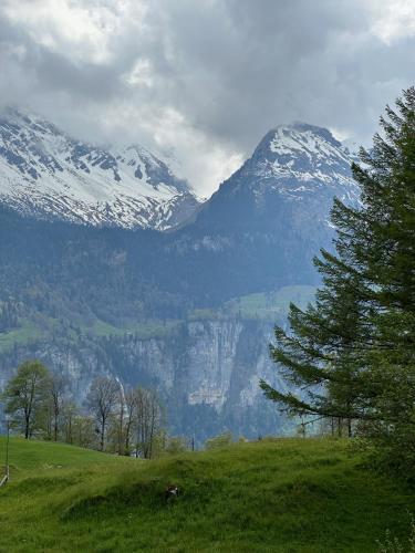 Chalet Brünig