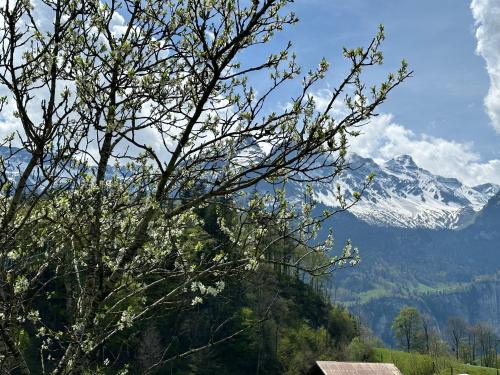 Chalet Brünig