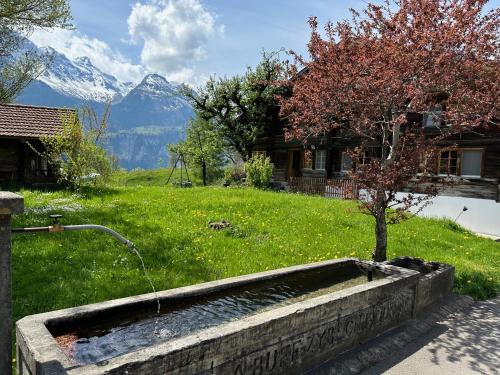A környék, Chalet Brünig (Chalet Brunig) in Meiringen