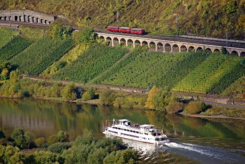 Apkārtne, Zwei Ferienwohnungen "Im Weingarten " in Burg (Mosel)