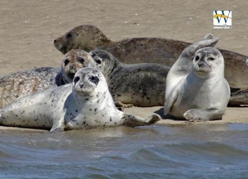 Osterhus - geräumige Wohnung über 2 Ebenen mit Garten und Balkon - image 10