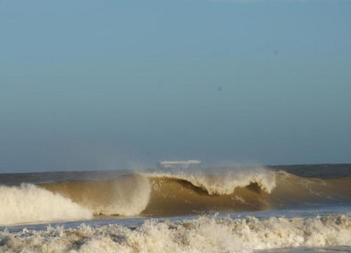 WoogePerle - Nordseeblick pur - image 6